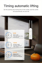 WiFi BT Zigbee Smart Motorized Chain Roller Blinds Remote With Tuya Voice Control Shade Shutter Drive Motor Works With Alexa Google Home