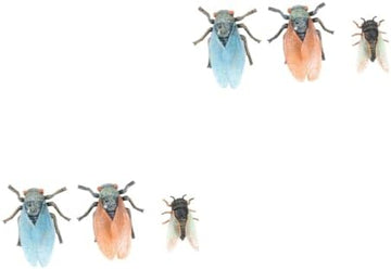 UNO1RC 2 Sets cicada Model Toy Christmas Decor Kids playset Wild Animals Toy for Kids Wildlife Kids Decor bee Toy kidcraft playset Plastic abs Bagging Machine Halloween Child