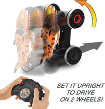 UNO1RC Wheels Rc Monster Trucks Unstoppable Tiger Shark in 1:15 Scale, Remote-Control Toy Truck with Terrain Action Tires