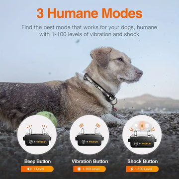 ROJECO Electric Dog Training Collar 3300FT Remote Control IPX7 Waterproof Rechargeable Dog Collar